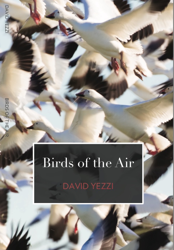 Birds of Air