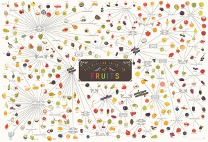 Fruits__914x627_A_1_1024x1024