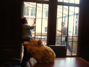 Patrick gets video of Hilbert on the terrace at 1608 Walnut Street. 